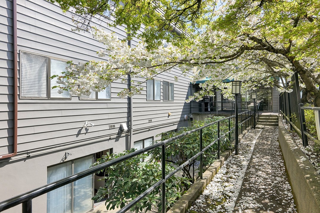 A modern building exterior with a tree-lined pathway and sunlight filtering through the leaves.