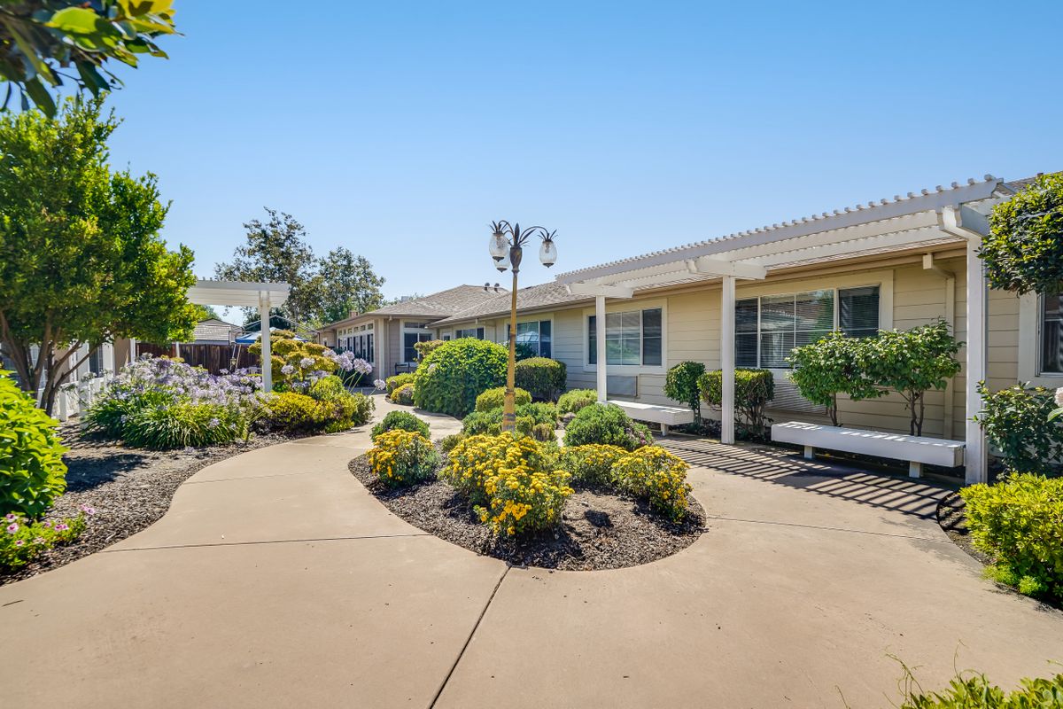 A sunny outdoor area with a pathway surrounded by gardens and shrubs.