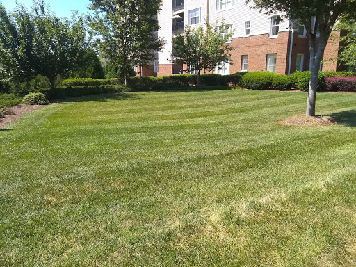A well-maintained lawn in front of an apartment building.