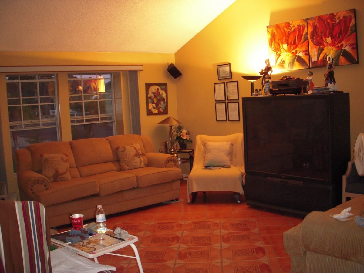 A cozy living room with a sofa set, a television, and various decorative elements.