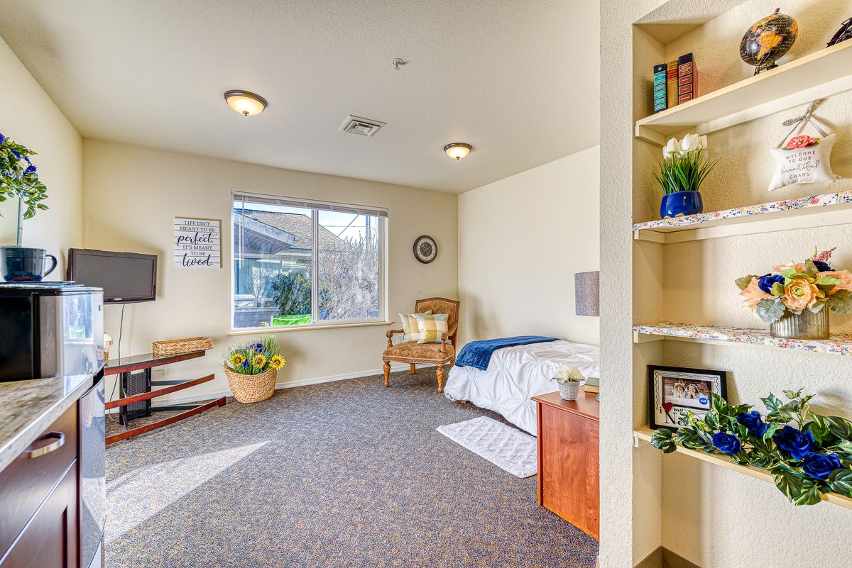 A cozy bedroom with a single bed, large window, and decorative plants on a shelf.