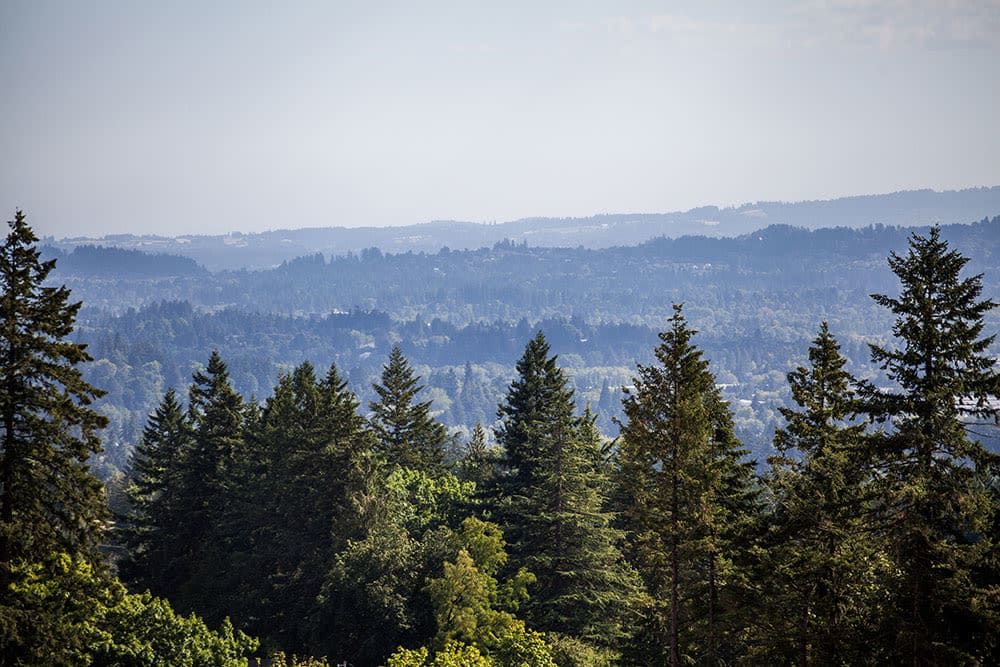 Touchmark In The West Hills