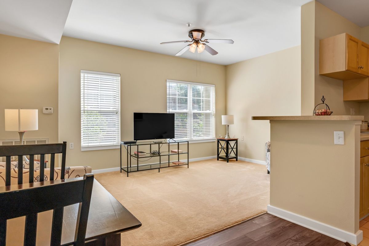 A cozy living room featuring a television, carpeted floor, and natural light from two windows.