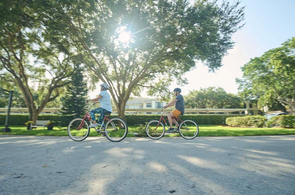 Two people enjoying a leisurely bike ride on a sunny day.