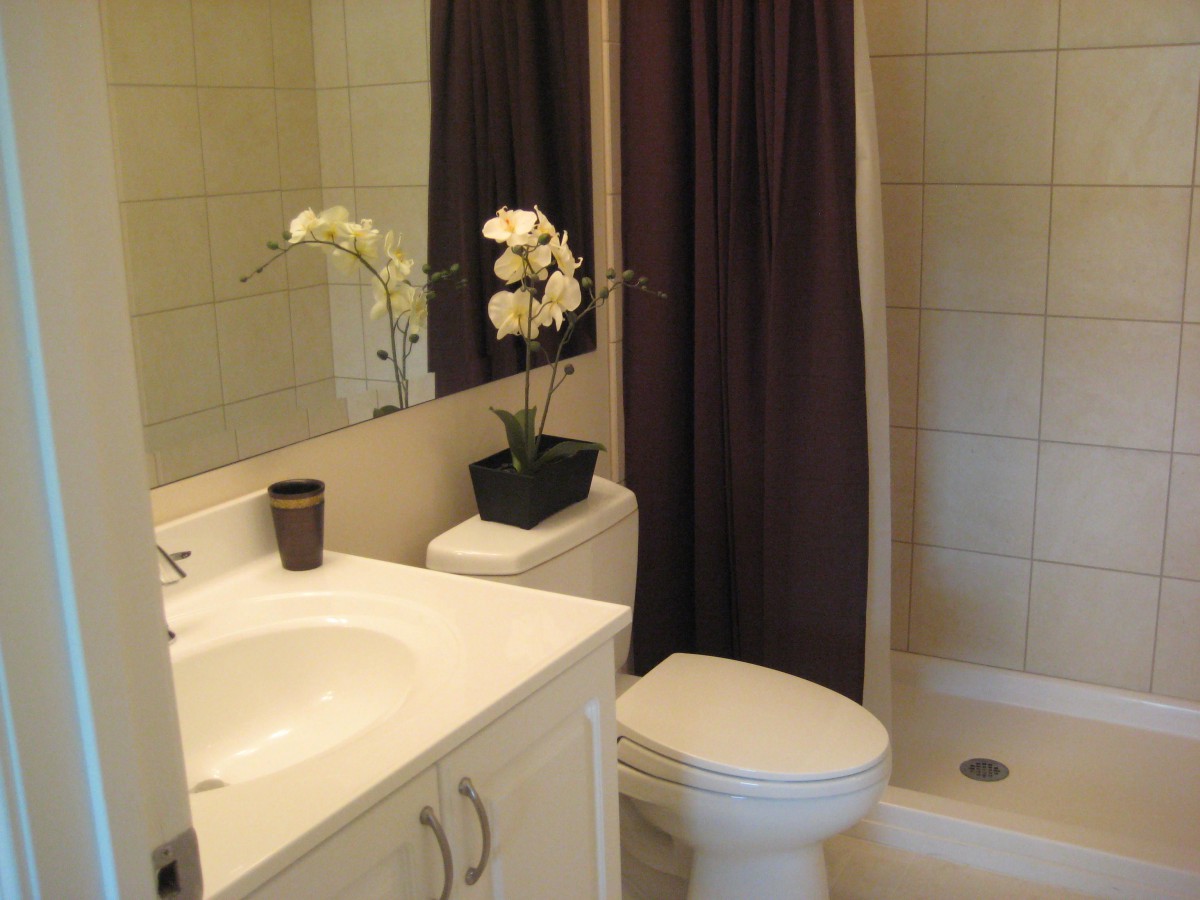 A clean and well-organized bathroom with a sink, toilet, and shower enclosed by a curtain. An orchid plant adds a decorative touch.
