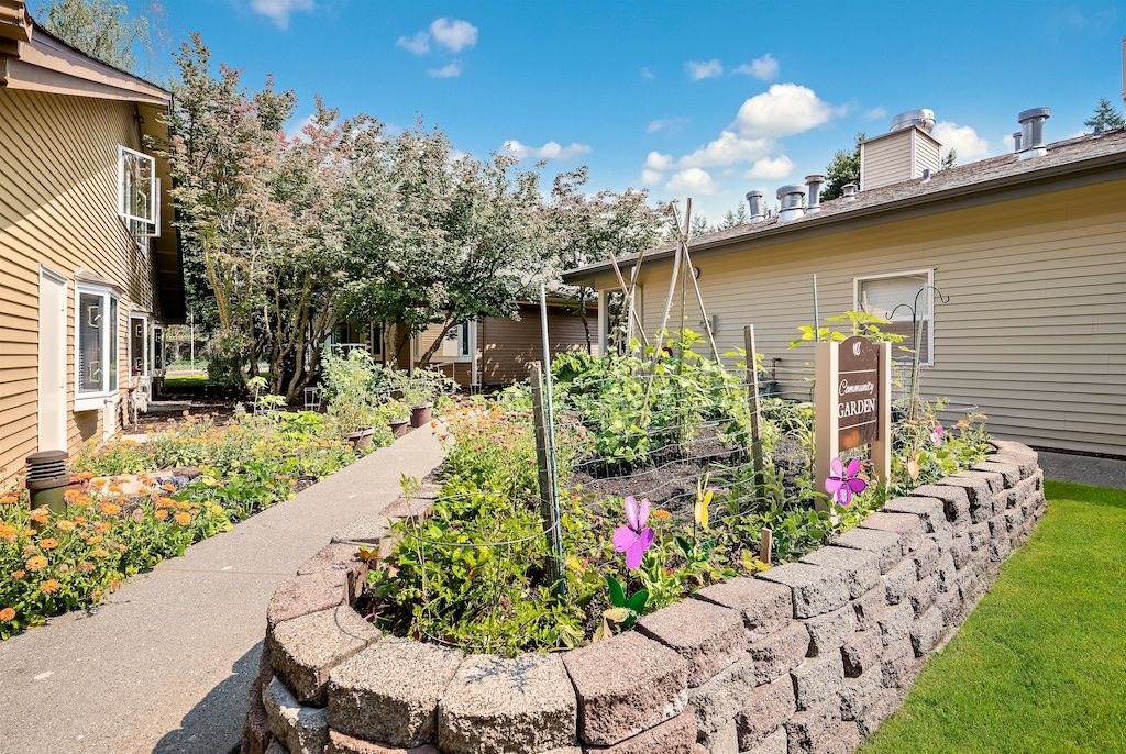 A tranquil garden with a variety of plants and flowers, bordered by a brick wall and pathway.