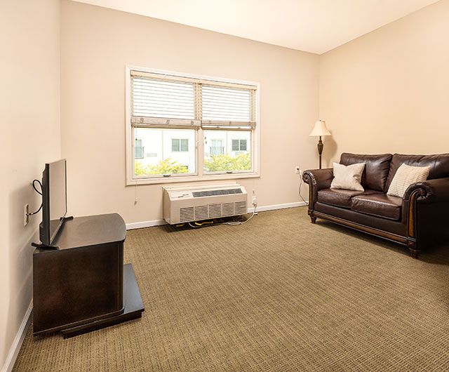 A minimalist living room with a sofa, TV, and carpeted floor.