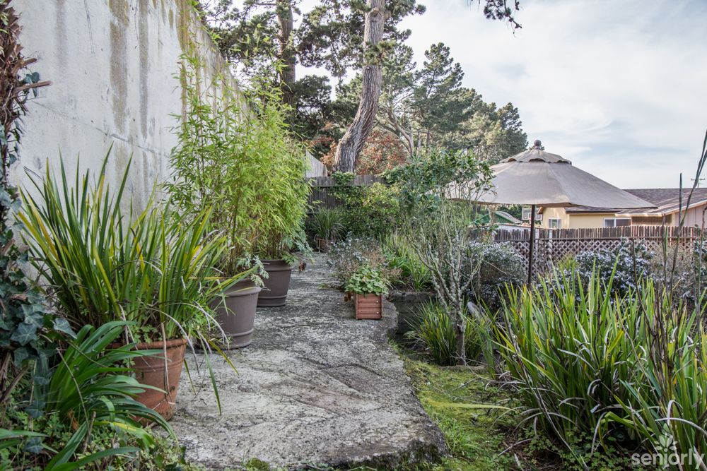 A tranquil garden pathway lined with various potted plants and a patio umbrella in the background.