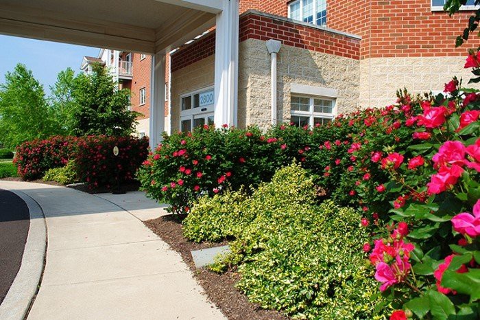 A building entrance with well-maintained landscaping and vibrant flowers.