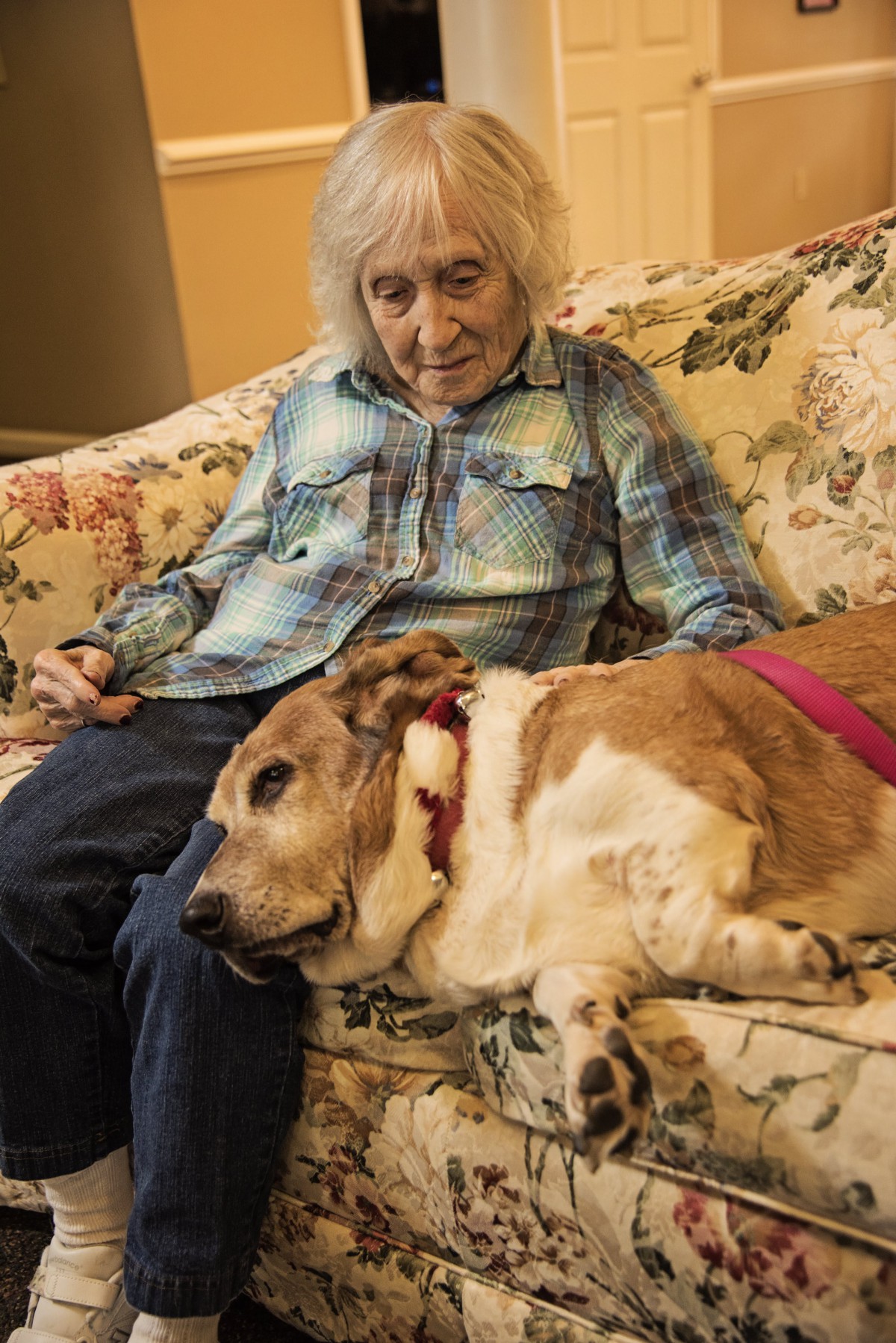 An elderly person sitting on a sofa with a dog resting beside them.