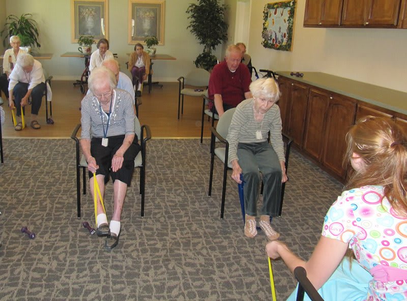 Elderly individuals participating in a seated exercise class using resistance bands.