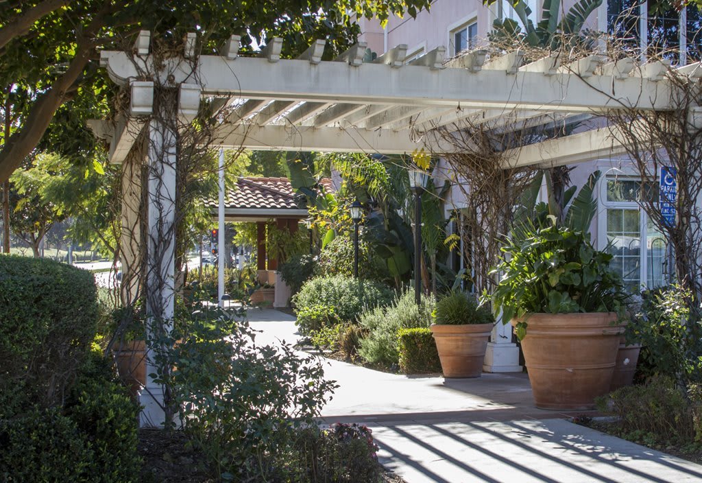 A sunlit outdoor walkway with a pergola and lush potted plants.