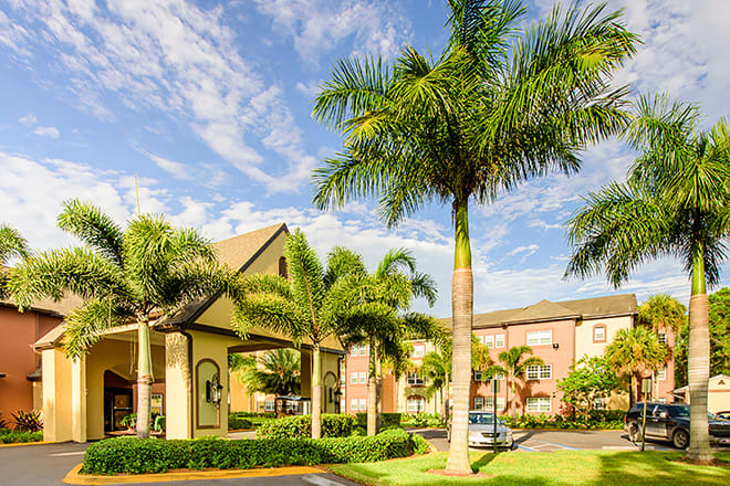 Sunny day at a tropical hotel entrance with palm trees.
