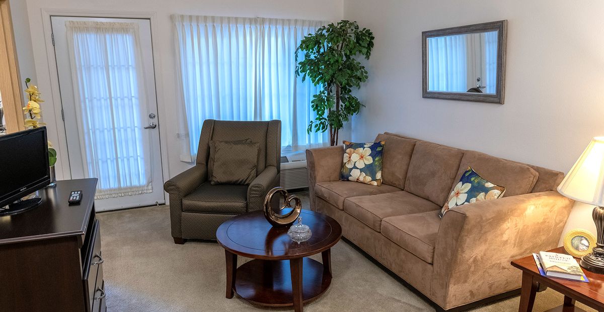 A cozy living room with a sofa, armchair, and coffee table beside a potted plant.