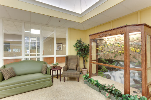 A cozy waiting area featuring comfortable seating and a touch of nature.