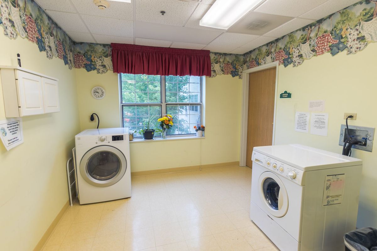 A clean and bright laundry room with a washer, dryer, and window with plants.