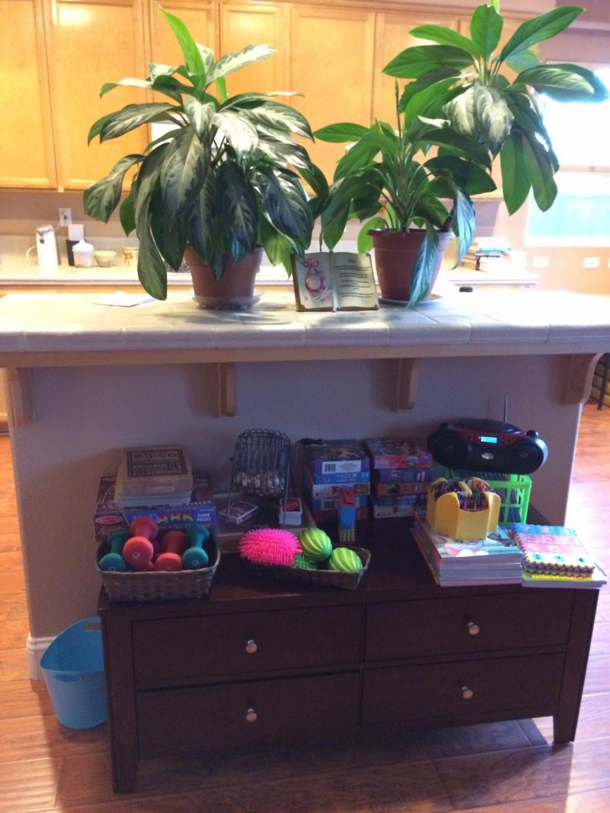 A kitchen counter adorned with potted plants and a variety of toys arranged on a storage unit.