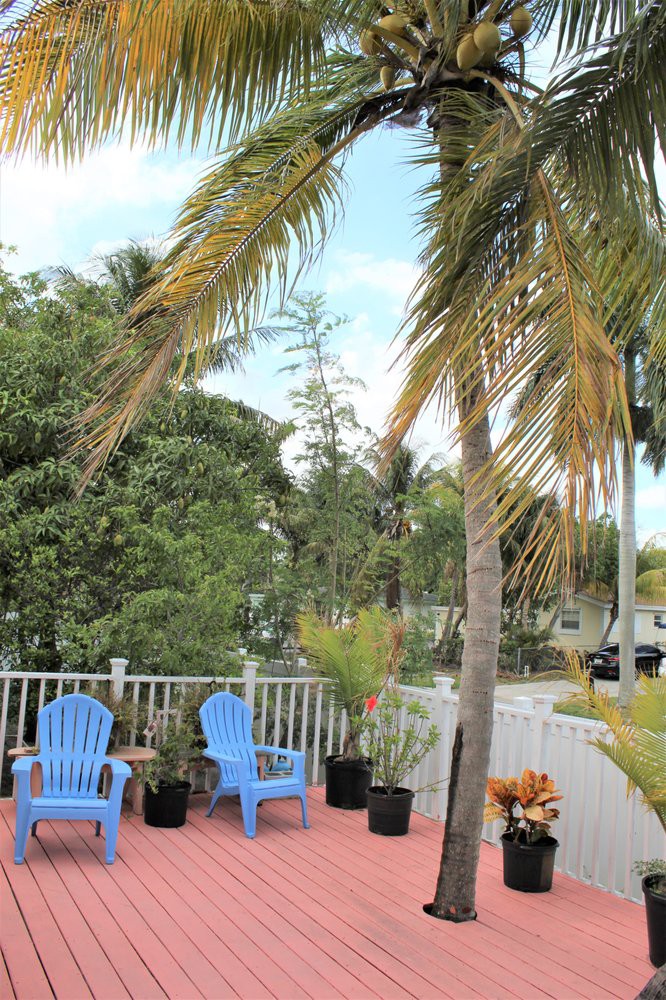 A serene patio with blue chairs surrounded by lush greenery and palm trees.