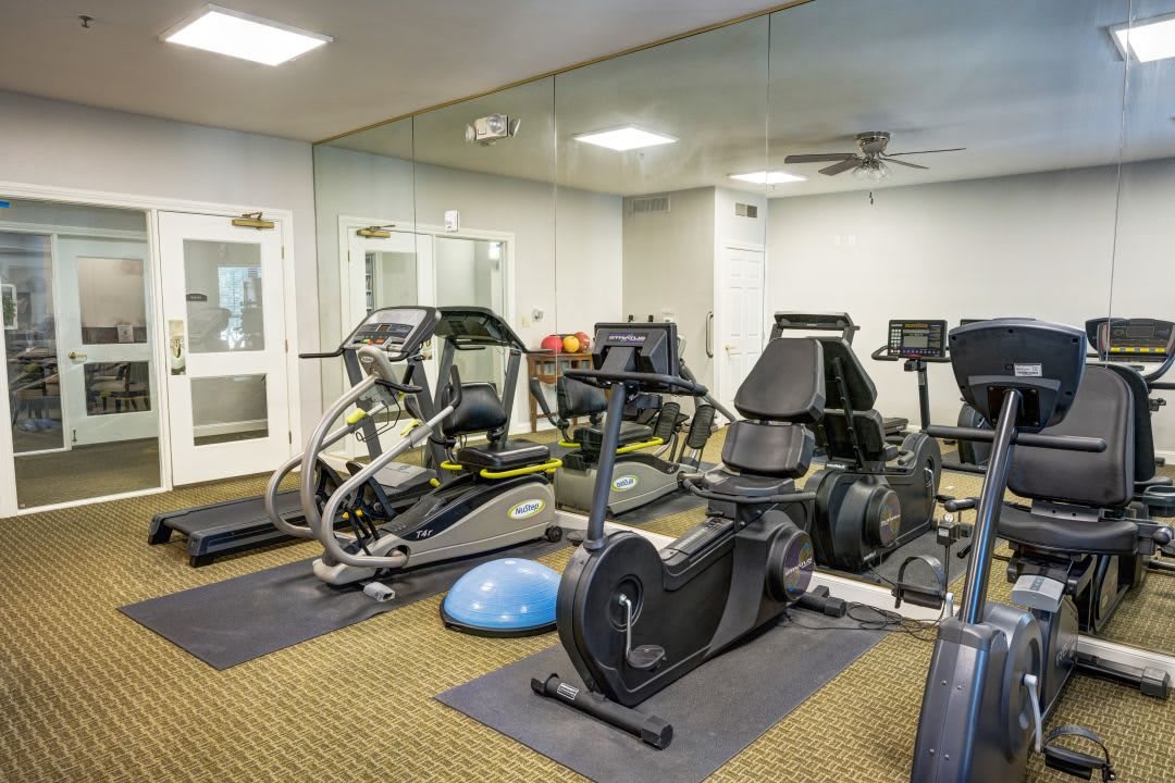 A modern gym with various exercise machines including treadmills, ellipticals, and stationary bikes.