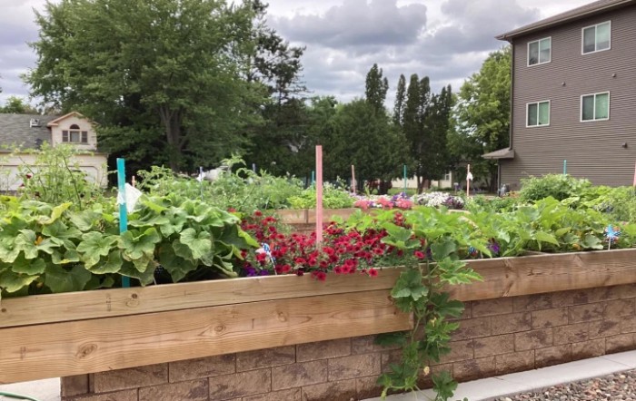 A thriving urban garden with a variety of plants and flowers in a raised bed.