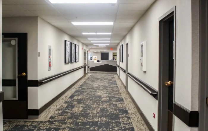 A modern, well-lit hallway with carpet and doors on either side.