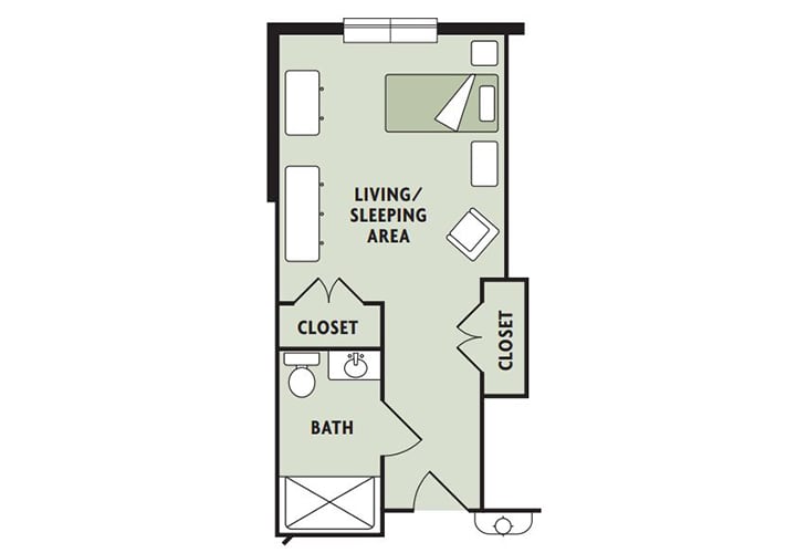 A floor plan of a studio apartment featuring a living/sleeping area, bathroom, and two closets.