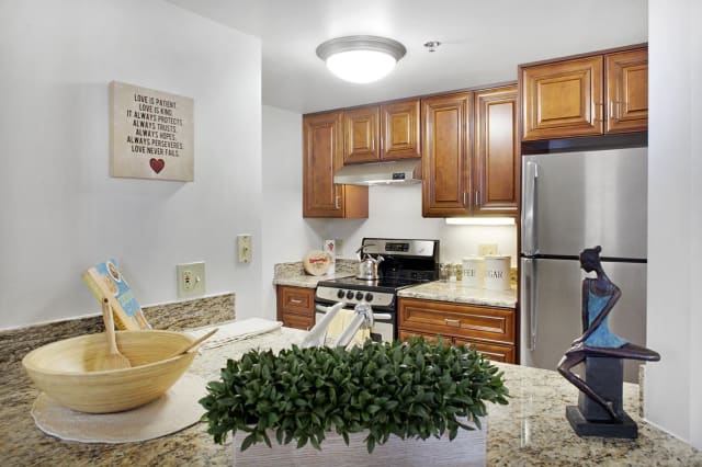 A modern kitchen with wooden cabinets, stainless steel appliances, and a decorative plant on the countertop.