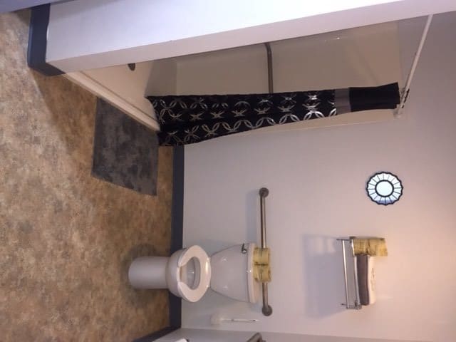 A bathroom with a toilet, shower area, and grab bar for accessibility.
