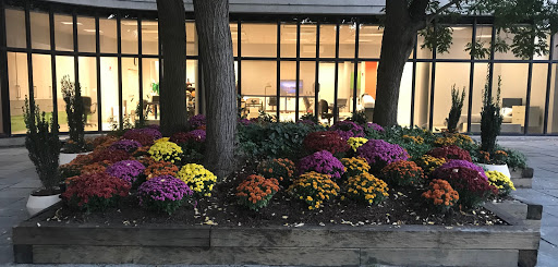 A vibrant display of flowers in a garden area near a modern building.