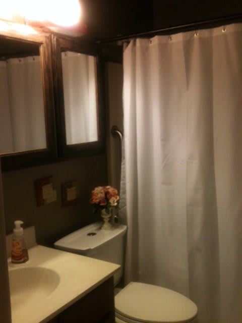 A cozy bathroom featuring a shower curtain, mirror, sink, and decorative elements.