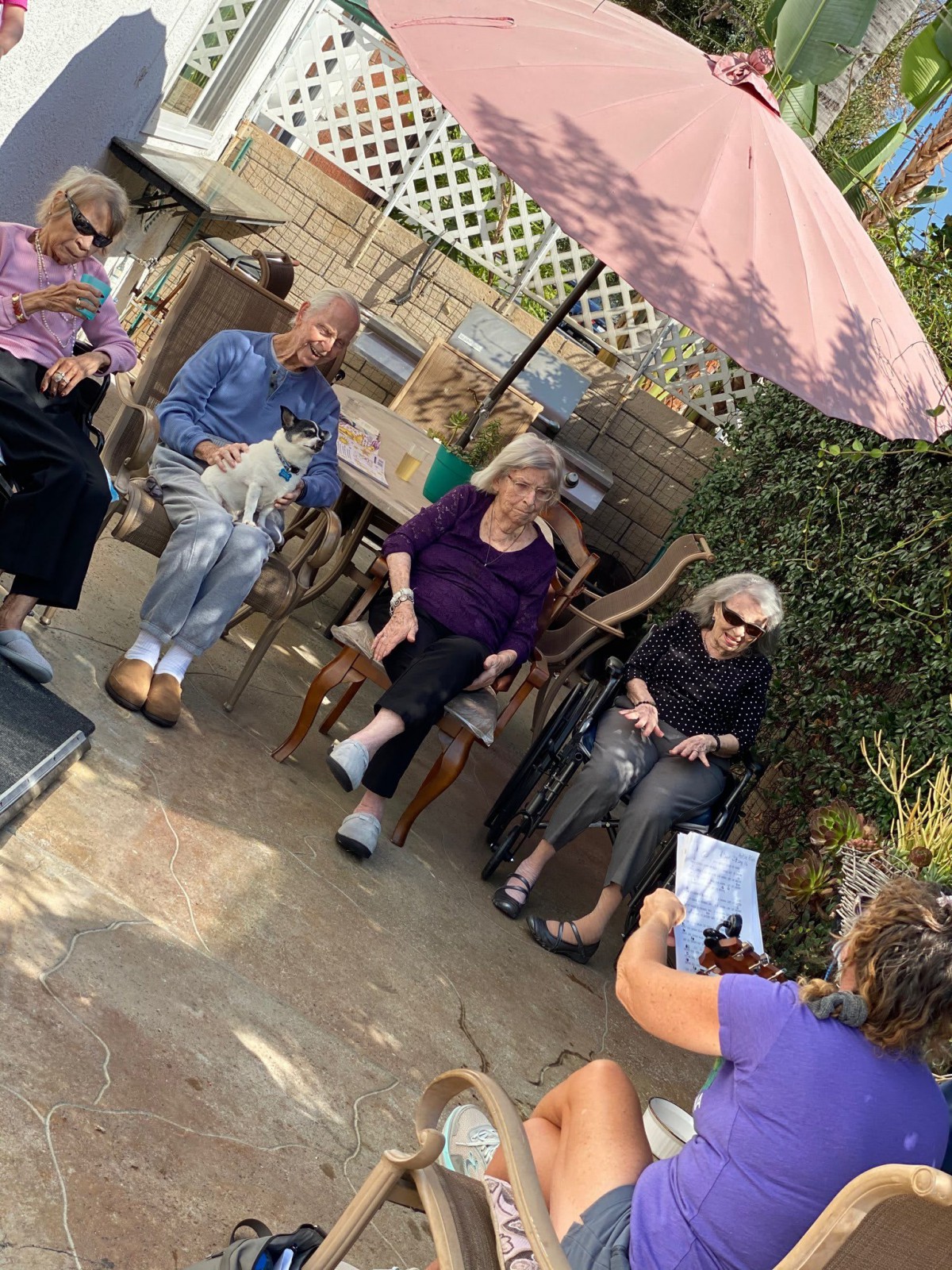 A group of elderly people enjoying a social gathering in a garden setting.