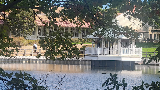 A serene view of a waterfront building framed by lush greenery.