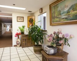 A welcoming reception area adorned with potted plants and decorative artwork.