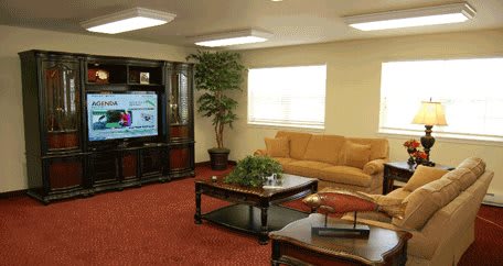 A cozy living room with a sofa, coffee table, television, and decorative plants.