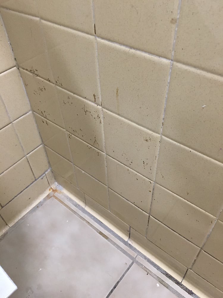 A bathroom corner with dirty tiles and visible grime.