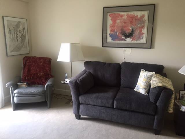 A cozy living room featuring a dark sofa, an armchair with a red throw, and framed artwork on the wall.