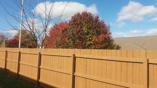 A colorful autumn tree stands behind a wooden fence under a partly cloudy blue sky.