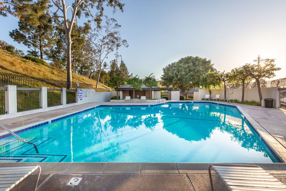 A serene outdoor swimming pool surrounded by trees and bathed in sunlight.