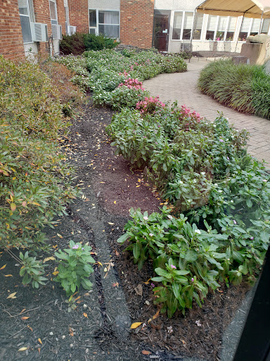 Laurel Bay Health & Rehabilitation Center