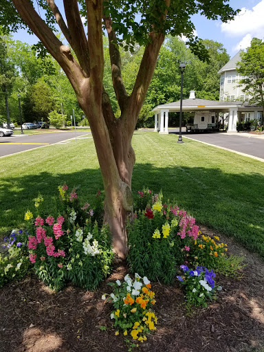 A vibrant garden scene featuring a tree surrounded by colorful flowers.