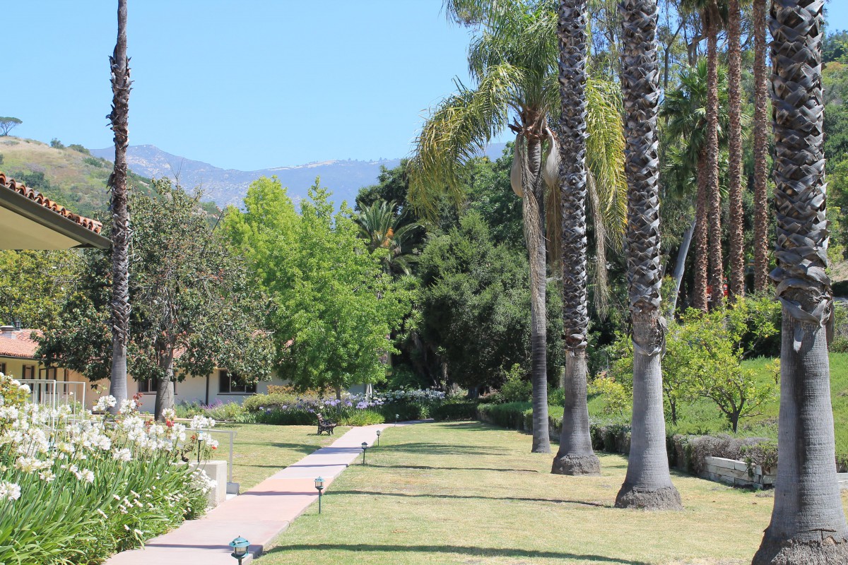 A serene garden pathway lined with palm trees and lush greenery under a clear blue sky.