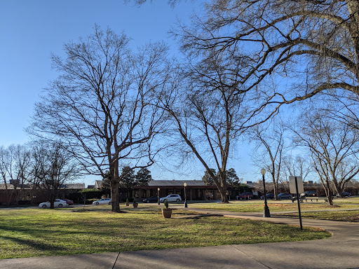 A serene view of a park with bare trees and a clear blue sky.