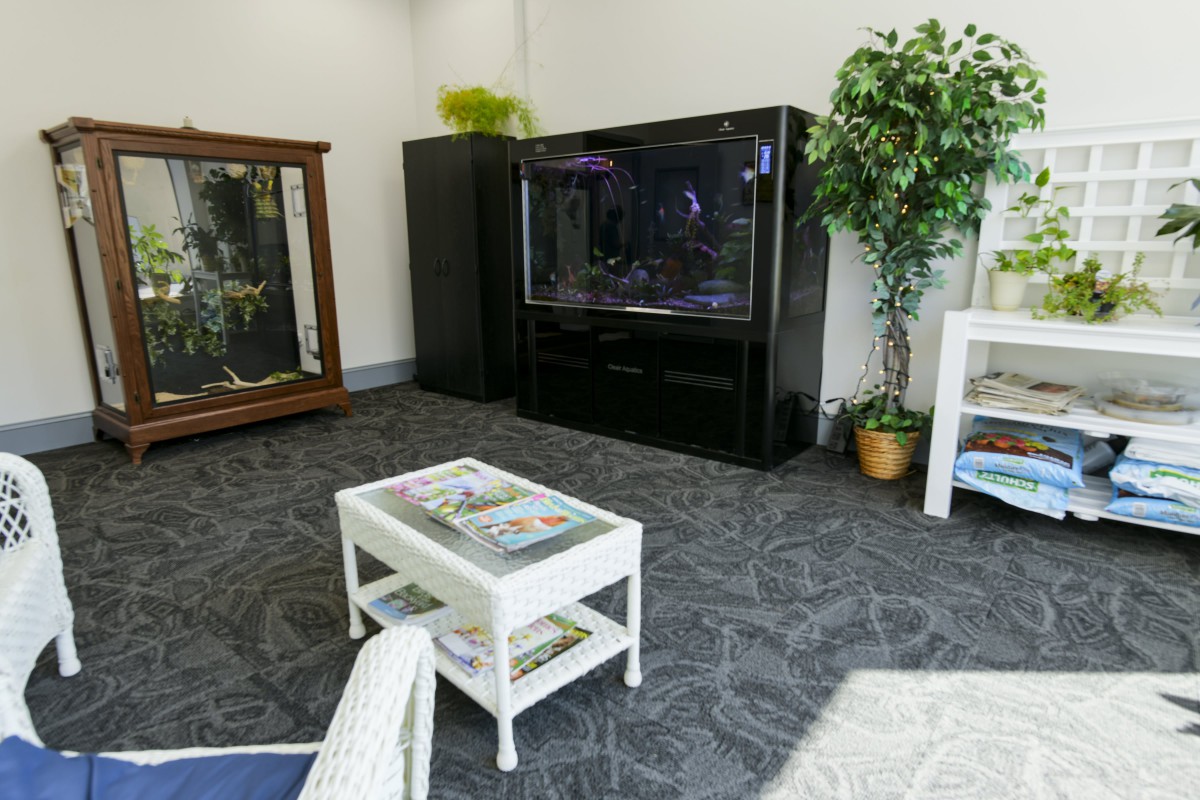 A cozy living room with a large aquarium, a small white table with magazines, and a potted plant.