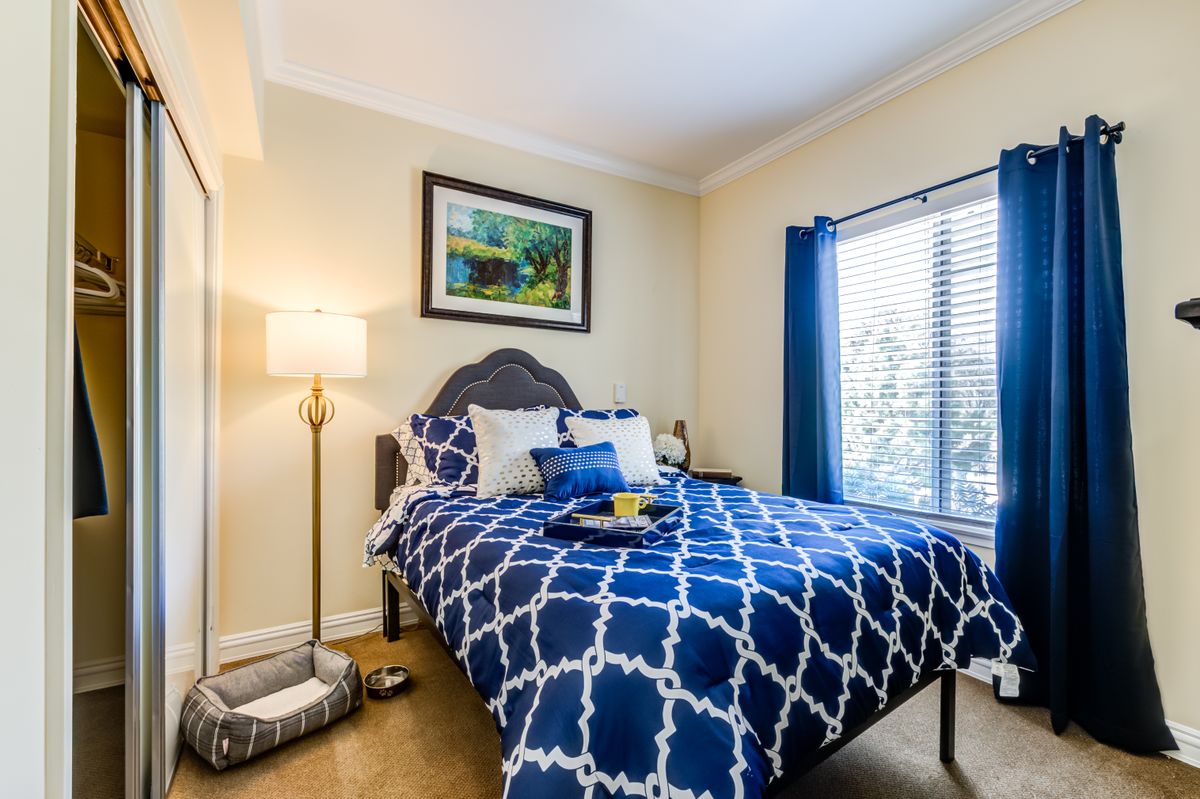 A cozy bedroom with blue patterned bedding, a standing lamp, and a large window offering natural light.