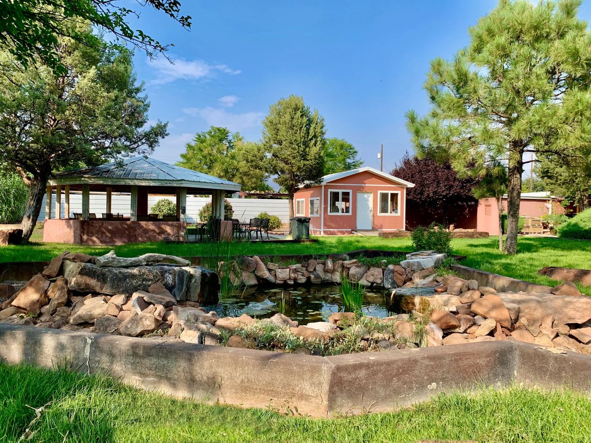 A serene garden featuring a pond, surrounded by greenery and a small shed in the background under a clear blue sky.