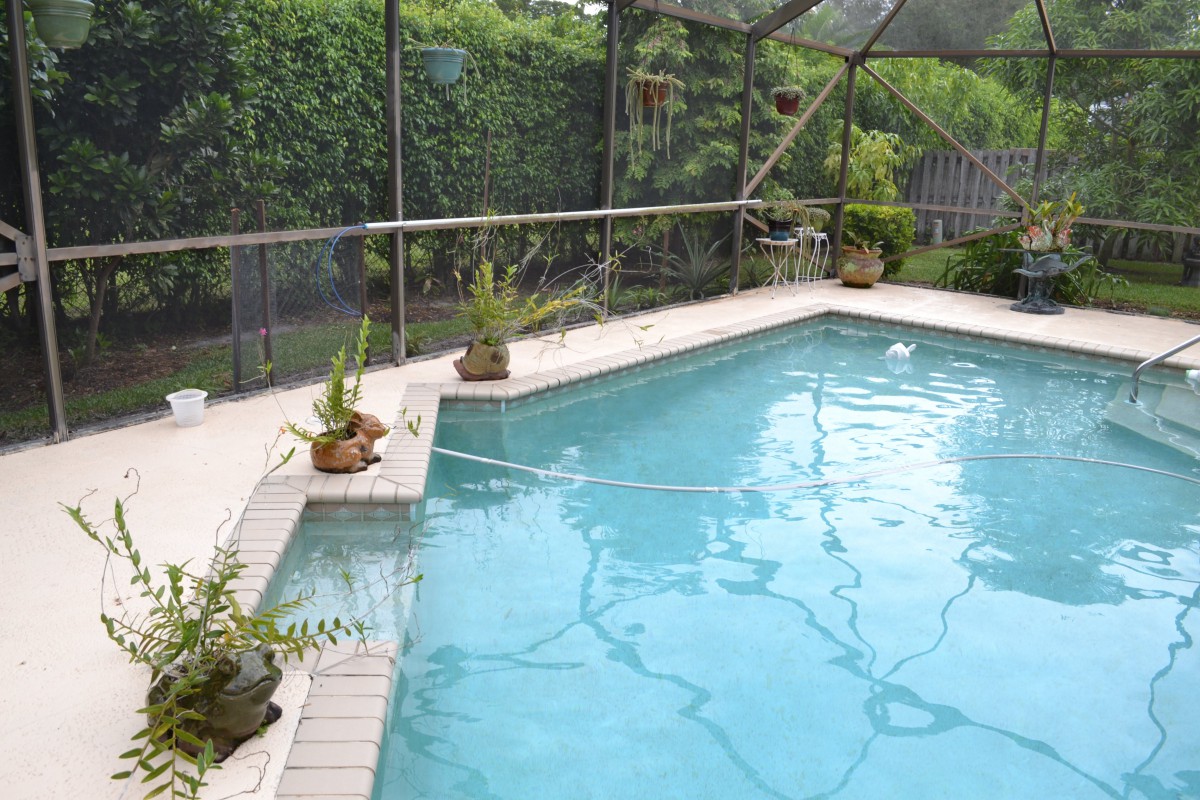 Screened outdoor swimming pool with surrounding plants.