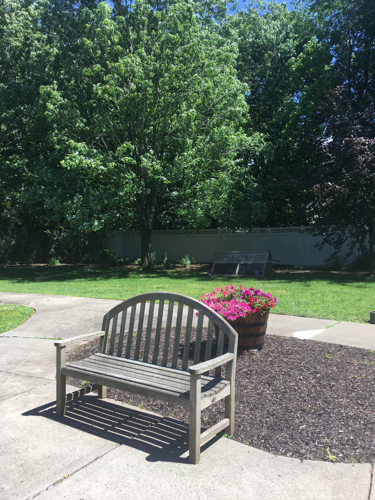 A peaceful garden scene with a wooden bench, vibrant flowers, and lush green trees.