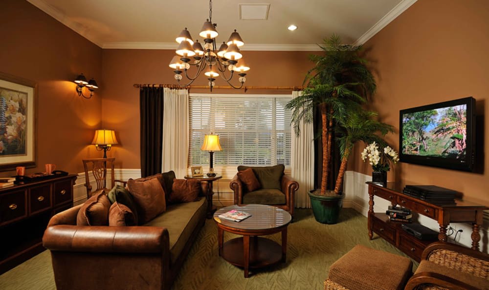 A cozy living room with elegant furnishings and warm lighting.