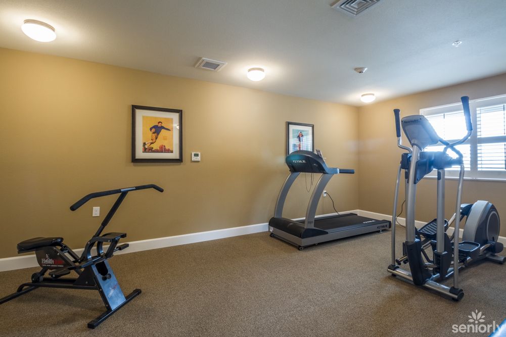 A home gym featuring a treadmill and other fitness equipment.