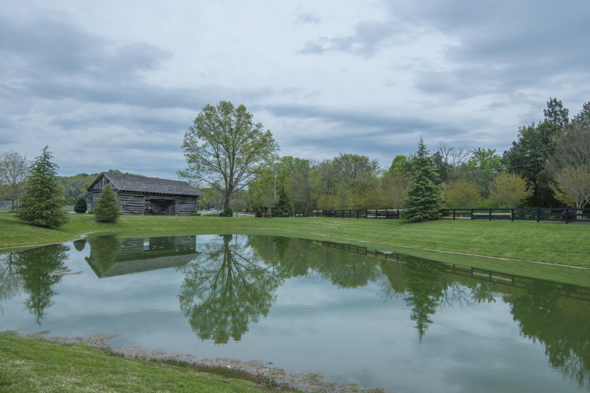 A tranquil pond reflecting the surrounding trees and landscape under an overcast sky.